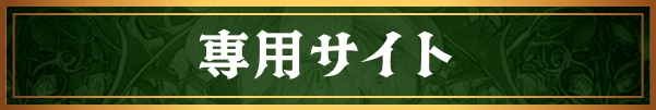 専用サイト